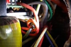 Insects shorting of cable connections